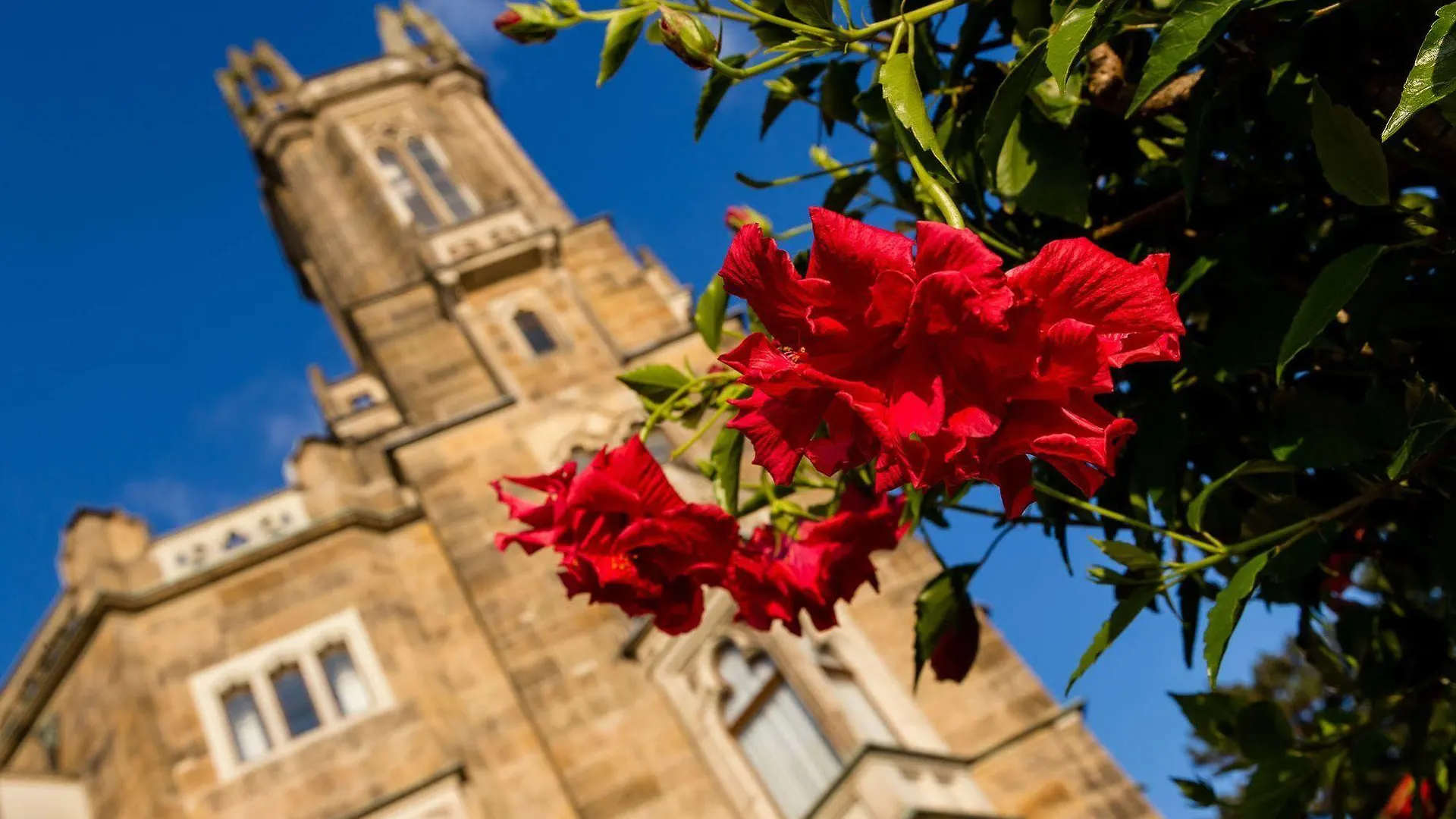Hotel Schloss Eckberg Dresden 4*,